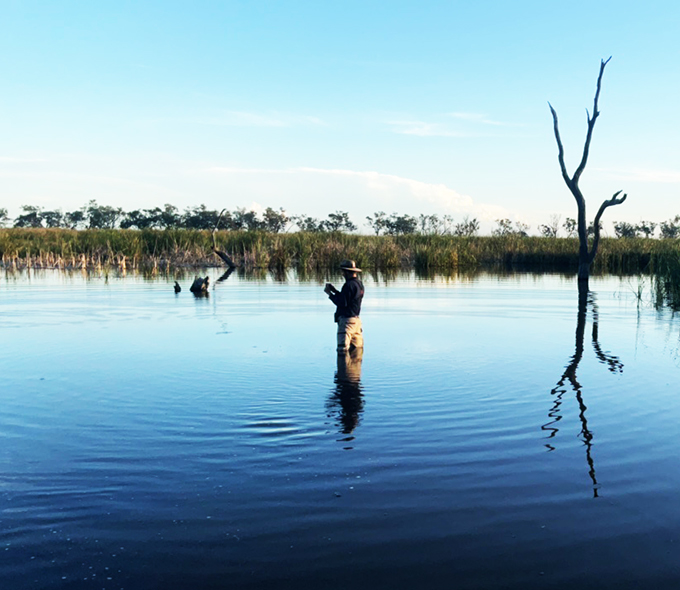 A researcher is wading in water taking photographs of birds