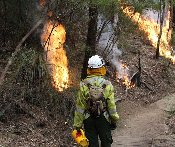 Staff from Metro South West and Blue Mountains regions undertaking the Pisgah Ridge hazard reduction burn near Glenbrook in the Blue Mountains National Park