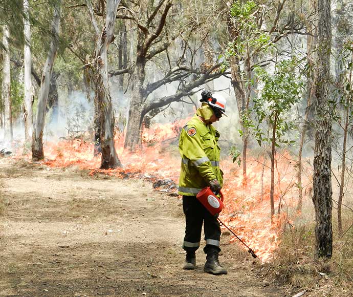 Personnel conducting hazard reduction burn