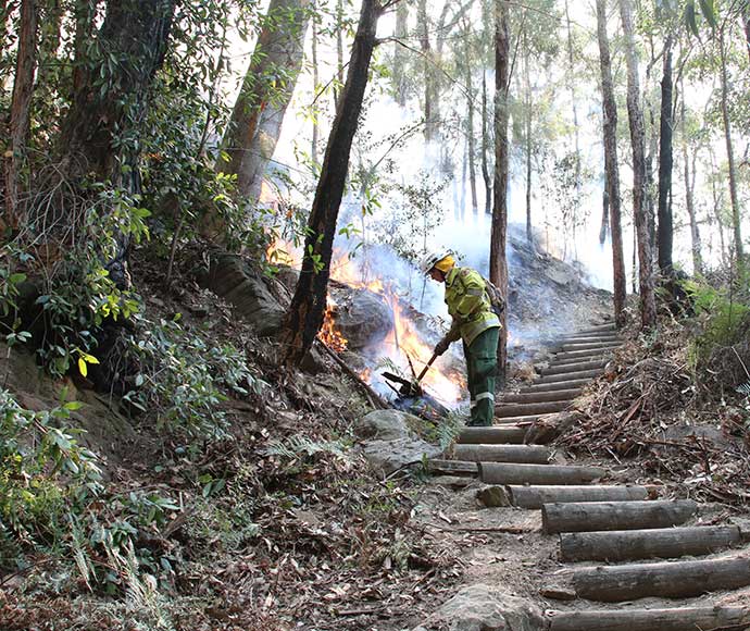 Staff from Metro South West and Blue Mountains regions undertaking the Pisgah Ridge hazard reduction burn near Glenbrook in the Blue Mountains National Park