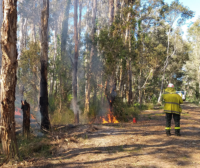 Hazard reduction burn, Jervis Bay National Park