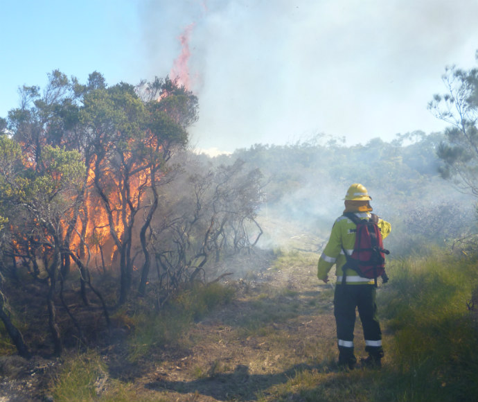 Hazard reduction burn, National Parks and Wildlife Service staff
