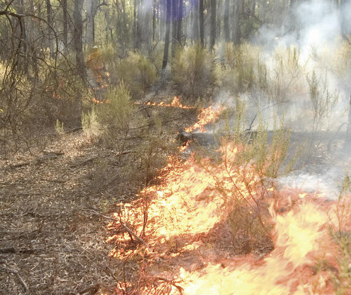 Hazard reduction burn