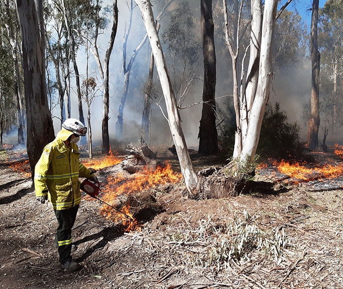 NPWS hazard reductions near Mathoura and Deniliquin protect urban areas