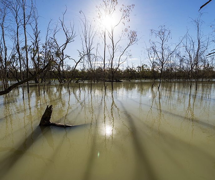 Morton Boulka picnic area. This remote and tranquil spot in Kinchega National Park links the mighty Cawndilla and Menindee Lake systems