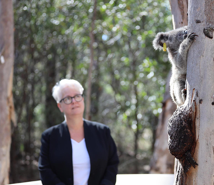 Minister for the Environment Penny Sharpe visited Mack at the Wildlife Health and Conservation Hospital