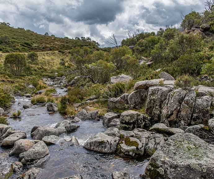 Pipers Creek trail, Kosciuszko National Park