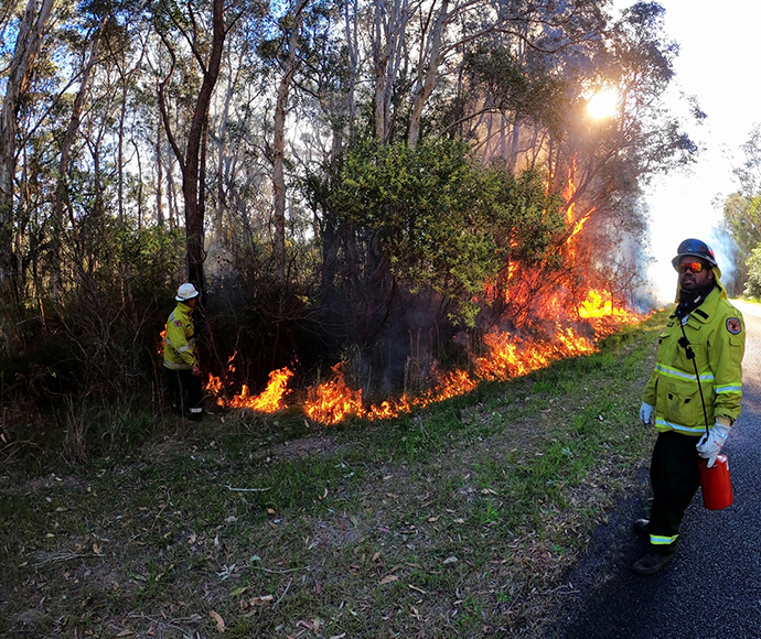 Porto Hazard reduction Burn, Kuring-gai-chase National Park, August 2021.