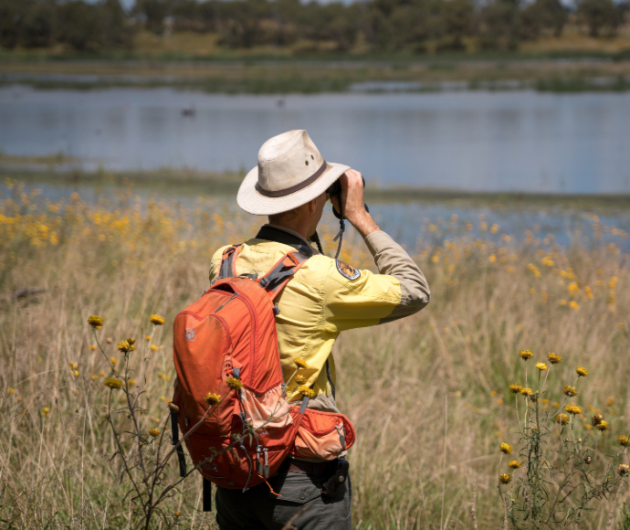 A researcher stands in a field of yellow flowers by the water and looks at something in the distance with binoculars