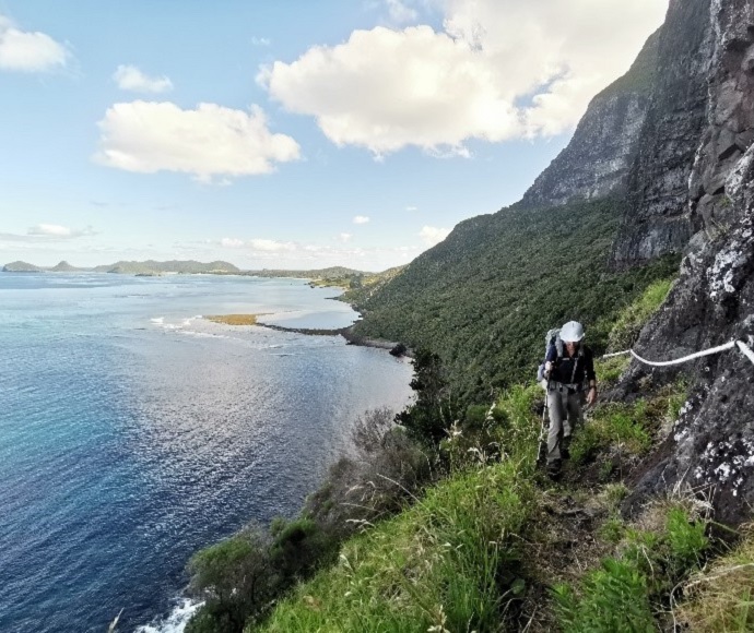 Person walking along a coastal trail on Lord Howe Island
