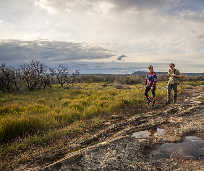 Mount Bushwalker, Morton National Park