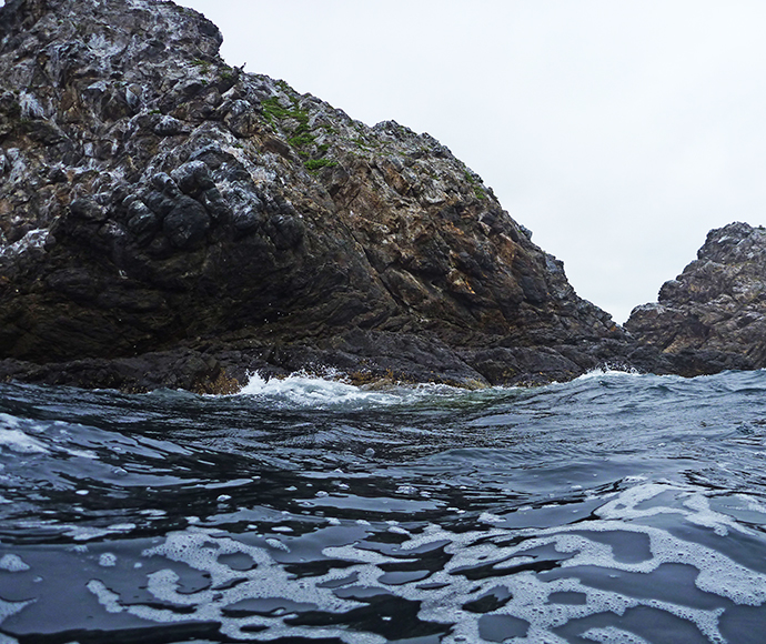 Julian Rocks Nguthungulli Nature Reserve this reserve is in the traditional country of the Bundjalung of Byron Bay Arakwal people