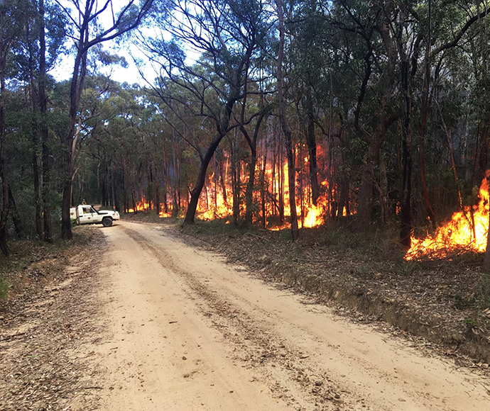 NPWS hazard reduction burn