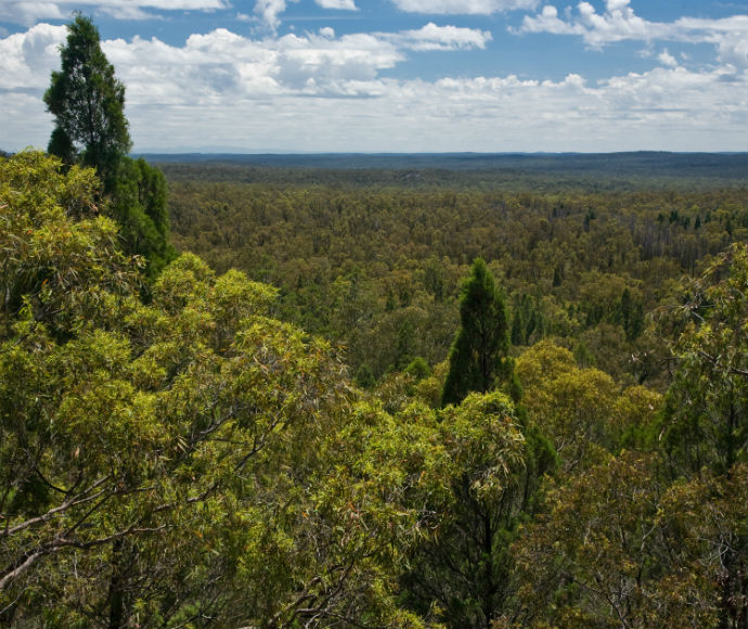 Pilliaga Sate Conservation Area in north-west NSW is one of the parks involved in reintroducing locally extinct mammals