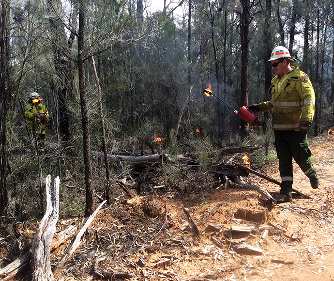 Pilliga West State Conservation Area, Telephone Line Rd