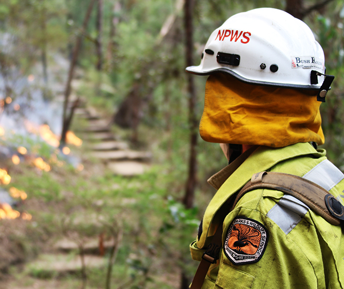 Staff from Metro South West and Blue Mountains regions undertaking the Pisgah Ridge hazard reduction burn near Glenbrook in the Blue Mountains National Park