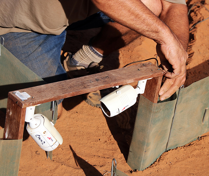 Preparing to monitor small animals – Rick Farley Reserve