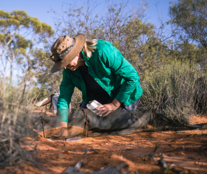 Woman kneeling in a bush environment