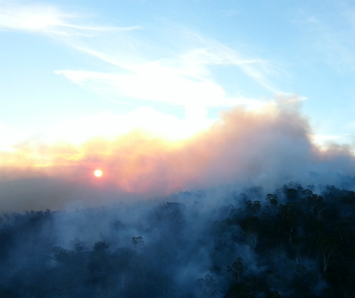 Hazard reduction burns help lessen the threat of bushfires