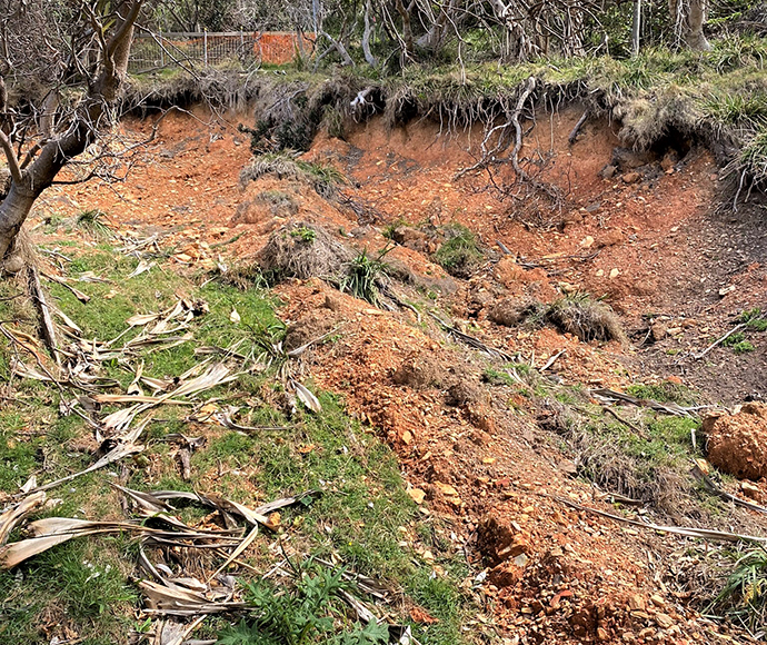 A landslide with soil falling away from tree roots and sliding down a hill