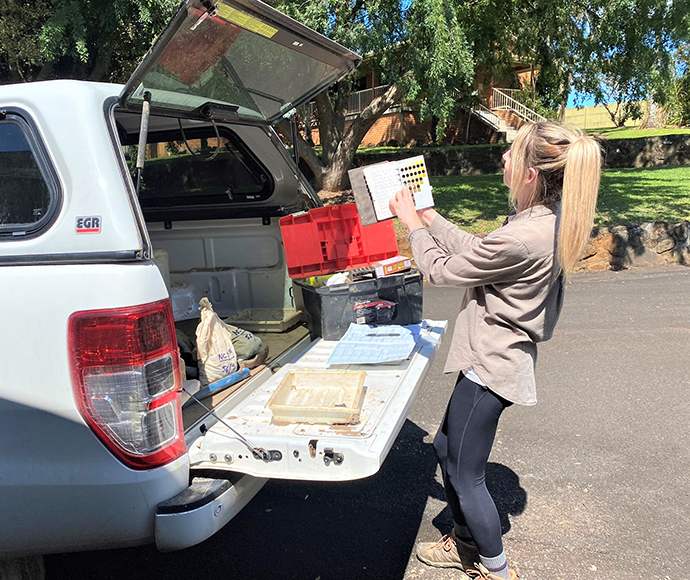 Soil scientist standing at back of car with boot open assessing soil colour as part of a soil profile description 
