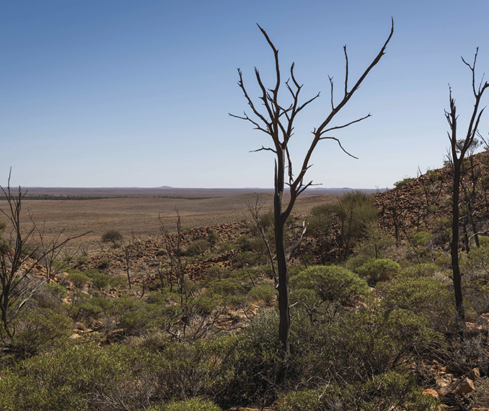 Mount Wood Summit Walking Track, Sturt National Park