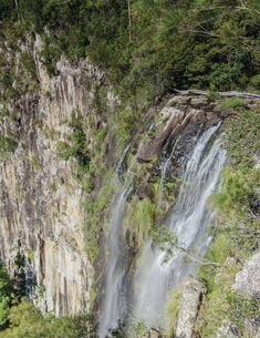Minyon Falls in Nightcap National Park, with water cascading down a 100-meter cliff into a lush, green rainforest below.