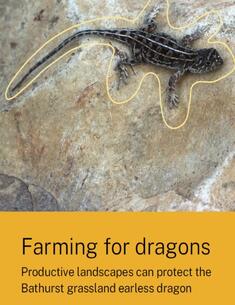 Cover image of the publication 'Farming for dragons: productive landscapes can protect the Bathurst grassland earless dragon', featuring a picture of a dragon
