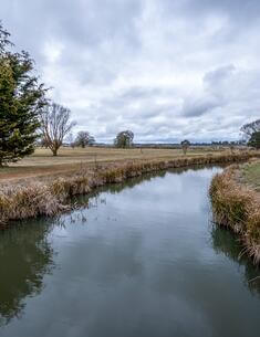 View along the lagoon from the bird-hide at Mother of Ducks Lagoon Nature Reserve