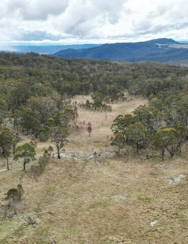 Property near Kybeyan Nature Reserve - 424ha - near Cooma