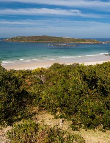 A serene landscape of Murramarang Aboriginal Area, including lush green vegetation, white fine sand and glistening ocean in various shades of blue.