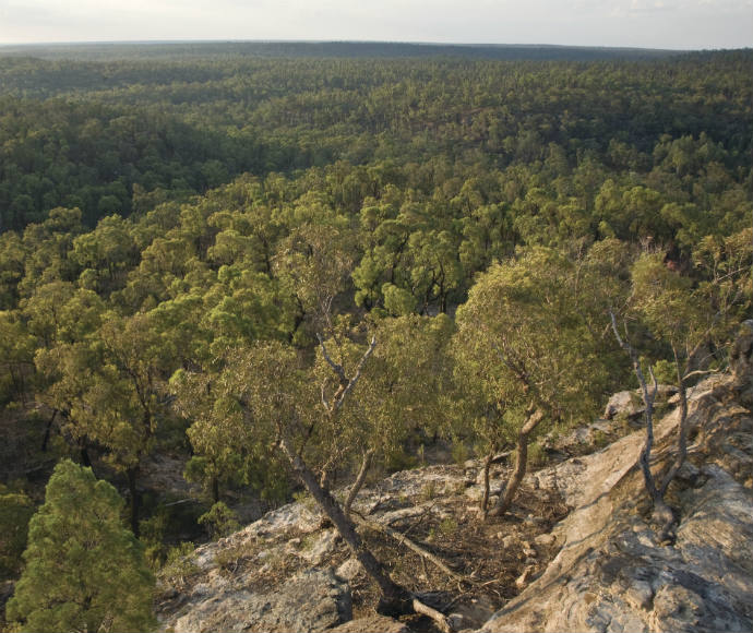 Timallallie National Park Community Conservation Area Zone 1