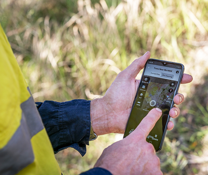 The app in action, Trees Near Me NSW app