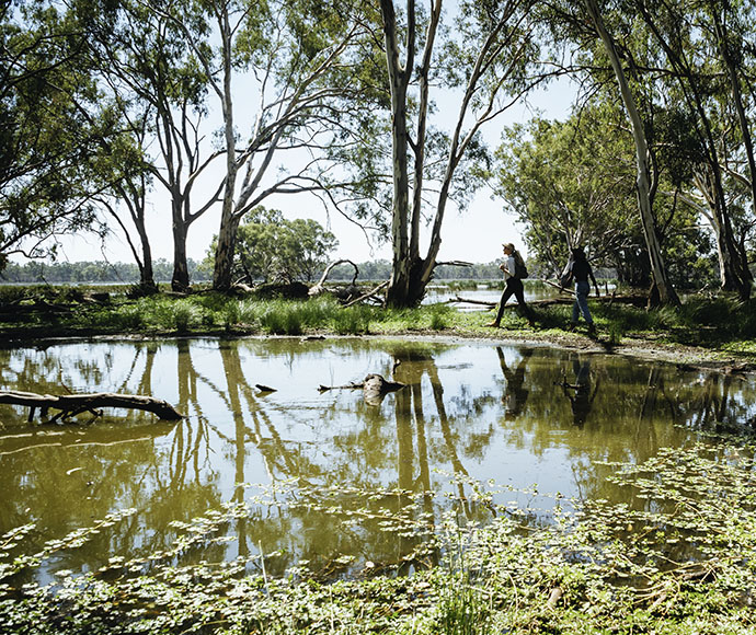 Murrumbidgee Wetlands, Yanga National Park